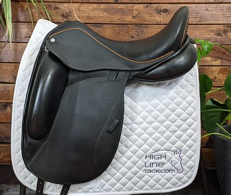 saddle shamkha